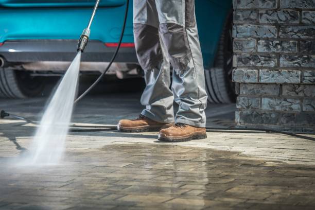 Best Sidewalk and Walkway Cleaning  in College, AK