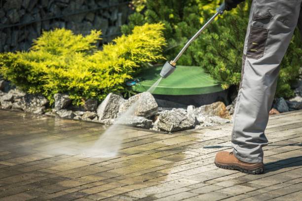 Best House Exterior Washing  in College, AK